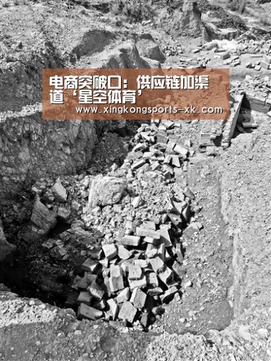 电商突破口：供应链加渠道‘星空体育’(图2)