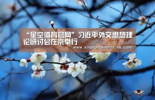 “星空体育官网”习近平外交思想理论研讨会在京举行(图2)