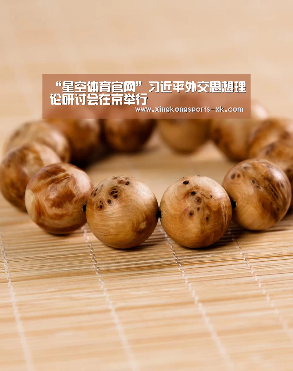 “星空体育官网”习近平外交思想理论研讨会在京举行(图3)