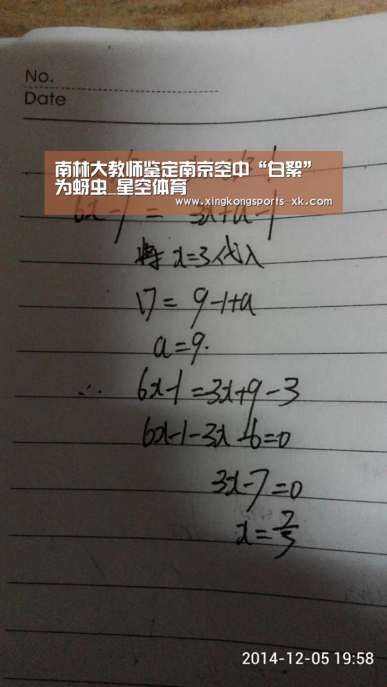 星空体育官网