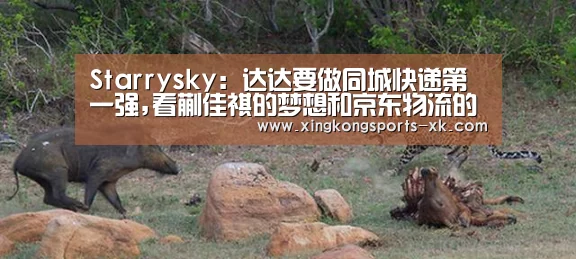 Starrysky:达达要做同城快递第一强,看蒯佳祺的梦想和京东物流的撑腰(图1) 星空体育官网